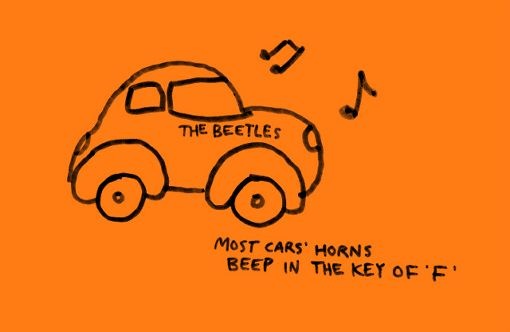 Beetle-Cars-Illustrations