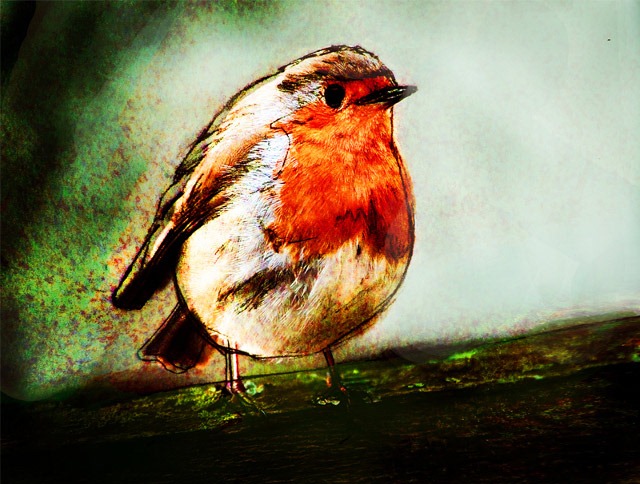 Peatree-Bojangles-robin