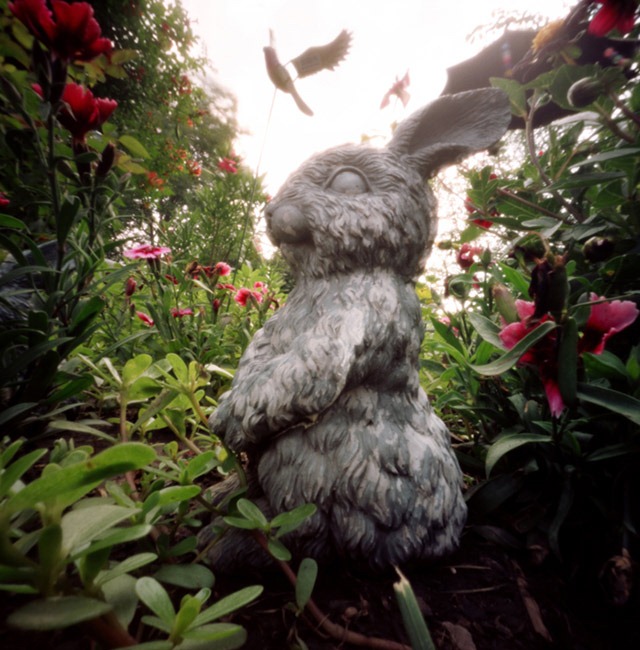 Bunny-and-Bird,-My-Nana's-Garden