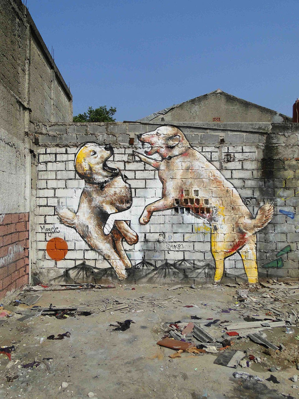 Fintan-Magee-09