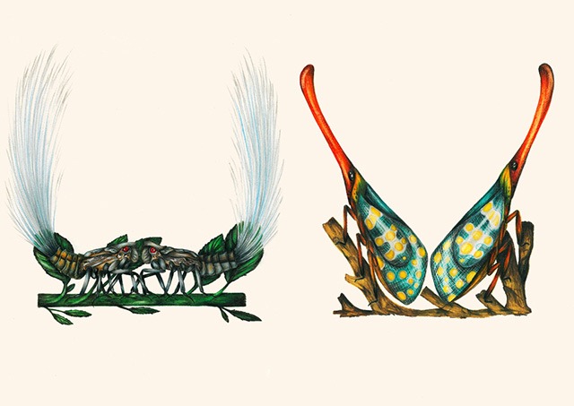 U-V-Insect-Alphabet-Illustrations-by-Paula-Duta