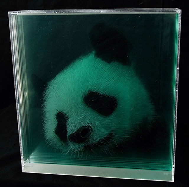 Panda-Holographic-Paintings-of-Animal-Heads-by-Yosman-Botero