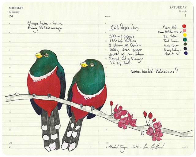 All-My-Beautiful-Boys-Ornithological-Drawings-by-Fran-Giffard-Masked-Trogon