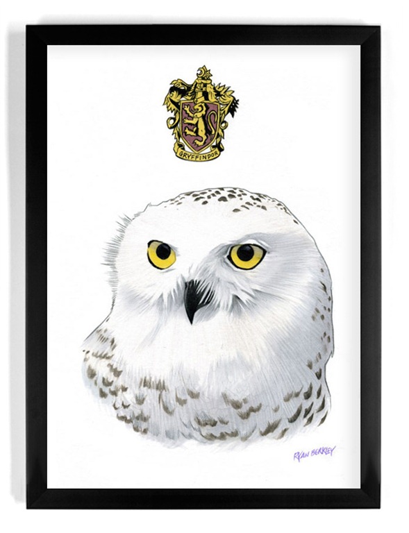 Hedwig-Harry-Potter-Illustration-by-Ryan-Berkley.jpg