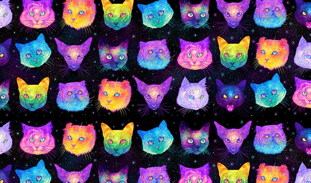 Galactic-Cats-Illustrations-by-Jen-Bartel