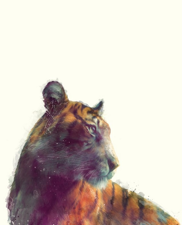 Wildlife_Watercolors_Amy_Tiger_Hamilton_8