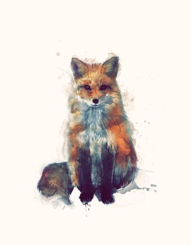 Wildlife_Watercolors_Fox_Amy_Hamilton_5