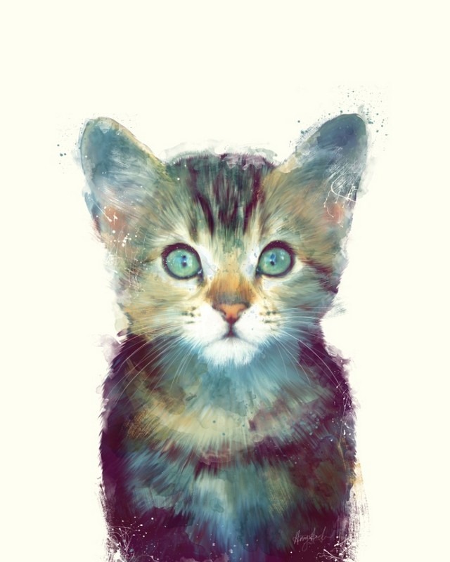 Wildlife_Watercolors_Kitten_Amy_Hamilton_7