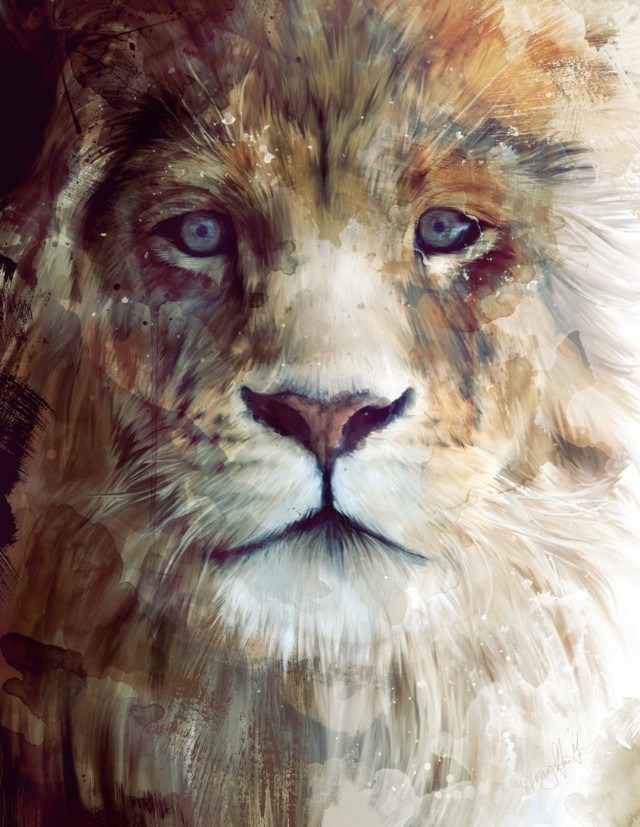 Wildlife_Watercolors_Lion_Amy_Hamilton_4