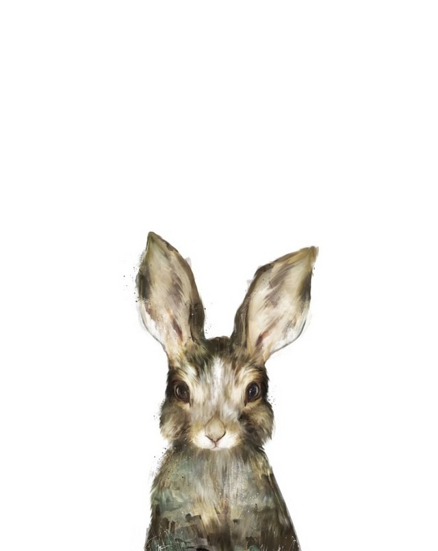 Wildlife_Watercolors_Little_Rabbit_Amy_Hamilton_10