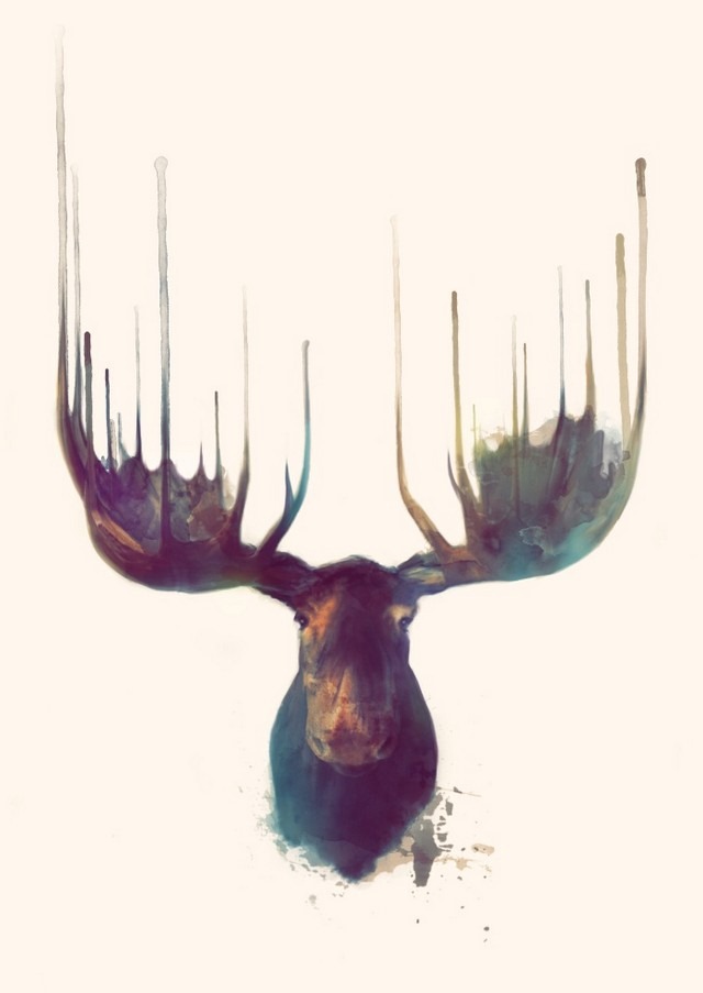 Wildlife_Watercolors_Moose_Amy_Hamilton_3