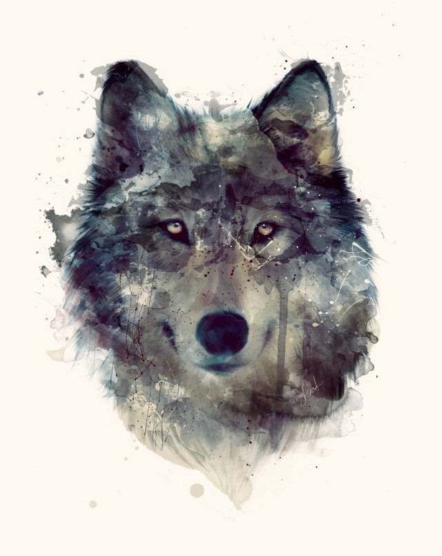 Wildlife_Watercolors_Wolf_Amy_Hamilton_1