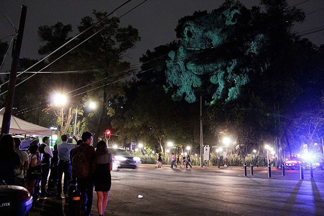 ANIMAL-WATCHING---Video-installation-on-trees-in-Mexico-Revista-Marvin-02