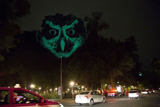 ANIMAL-WATCHING---Video-installation-on-trees-in-Mexico-Revista-Marvin-04