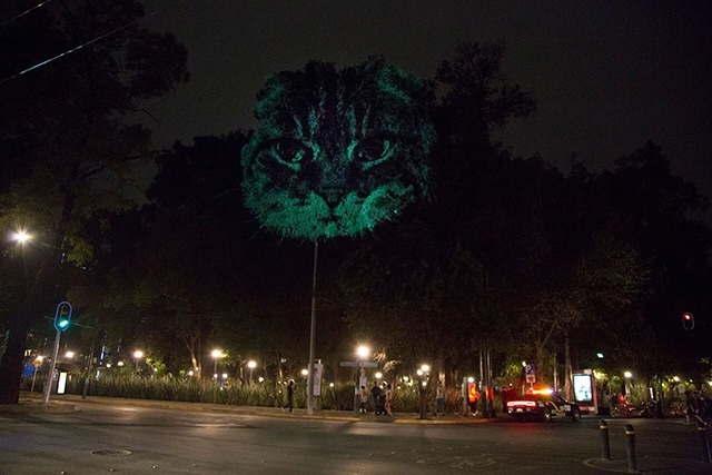 ANIMAL-WATCHING---Video-installation-on-trees-in-Mexico-Revista-Marvin-06