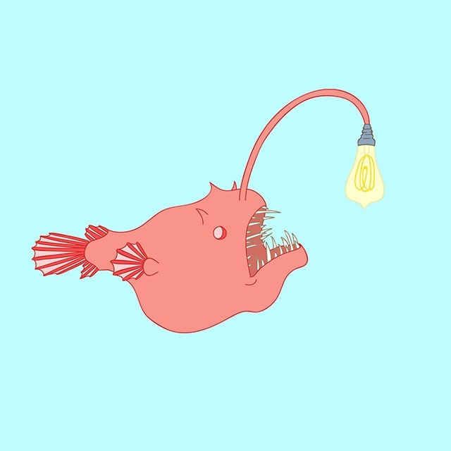 Jasmine Echols Graphic Design Illustrations Angler-Fish